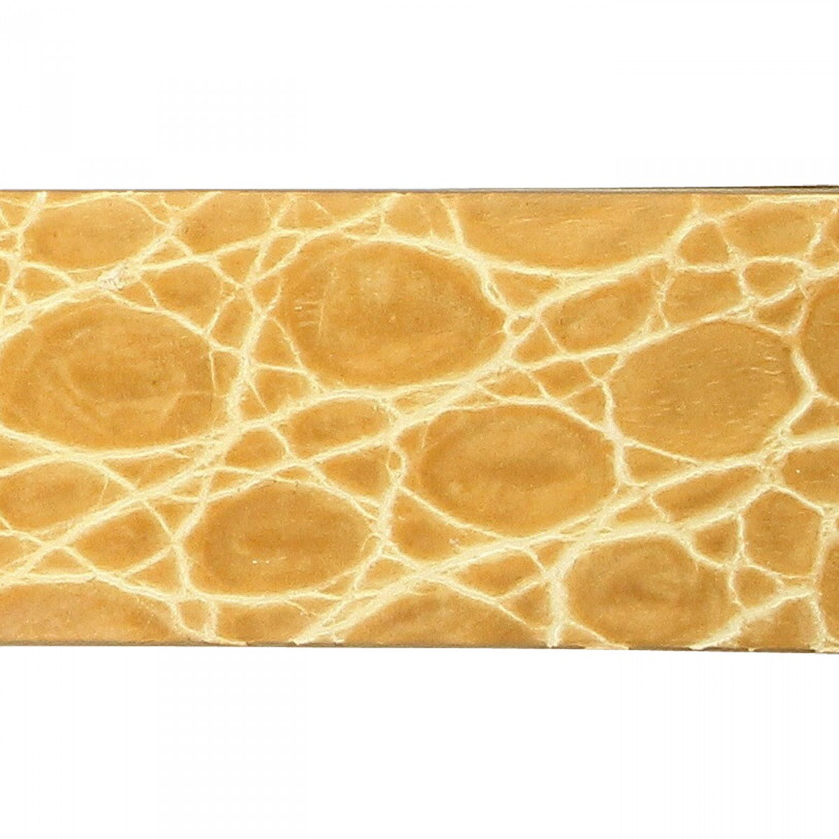 Ceinture mode CROCO Emporio balzani Q12000137-501 beige