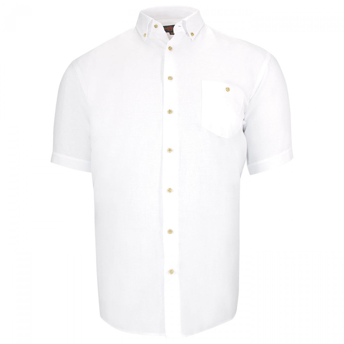 Chemisette forte taille AD6DBMC6 blanc