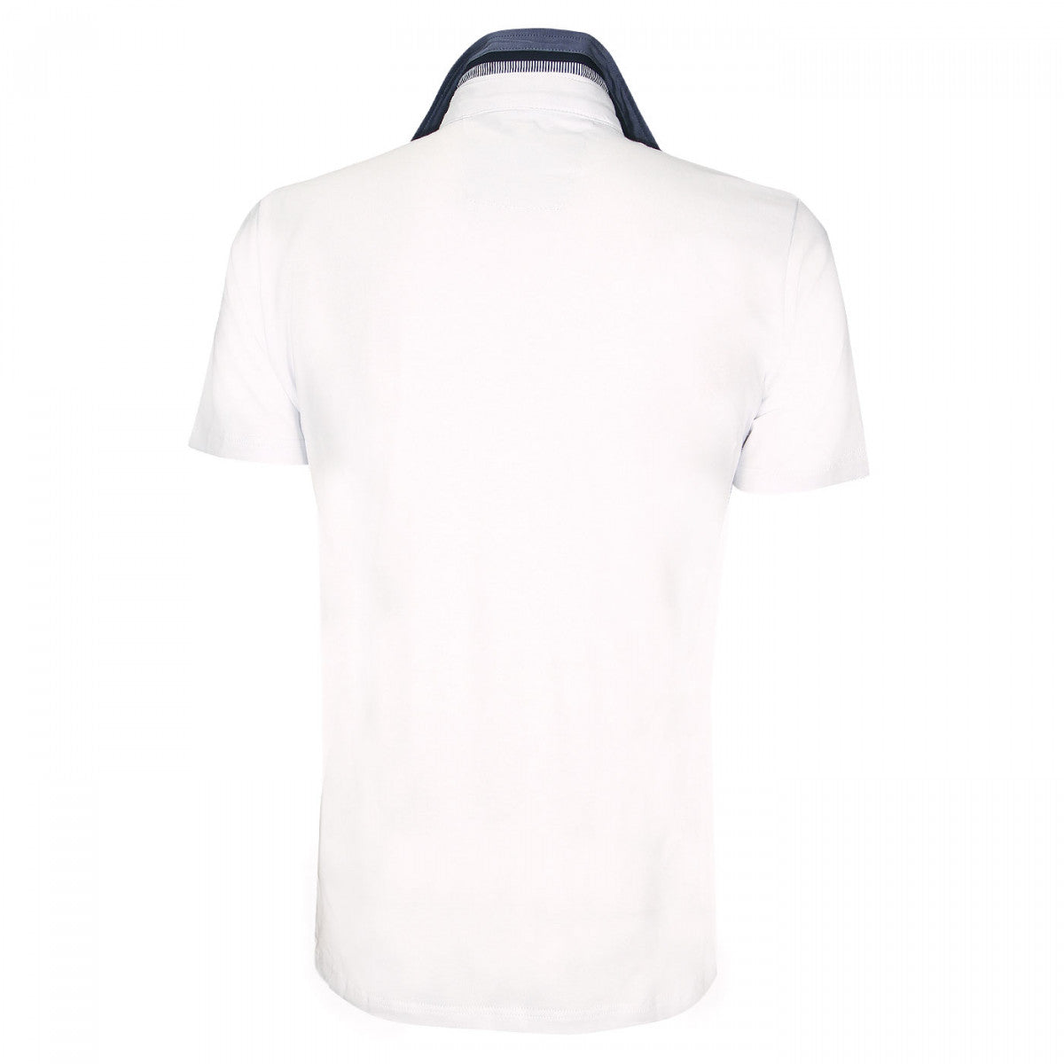 Polo mode alessandrino Andrew Mac Allister 556-WHITE blanc