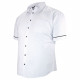 Chemisette forte taille motifs à pois PICOLLI-AA8DBMC1