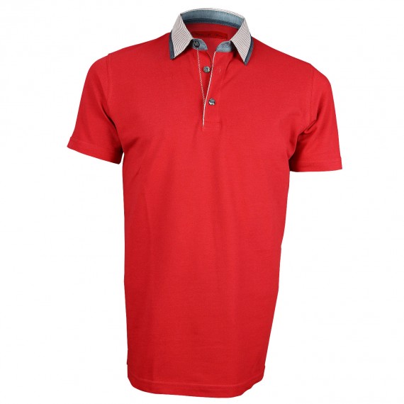 Polo col chemise SUSSEX Andrew Mc Allister Y4076-97