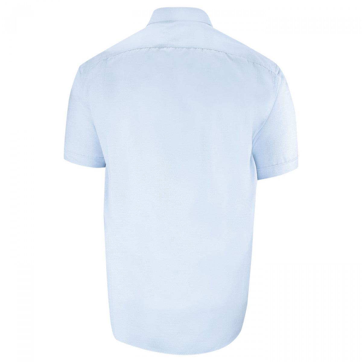 Chemisette forte taille QUOTIDIANO-AA11DBMC2 bleu ciel