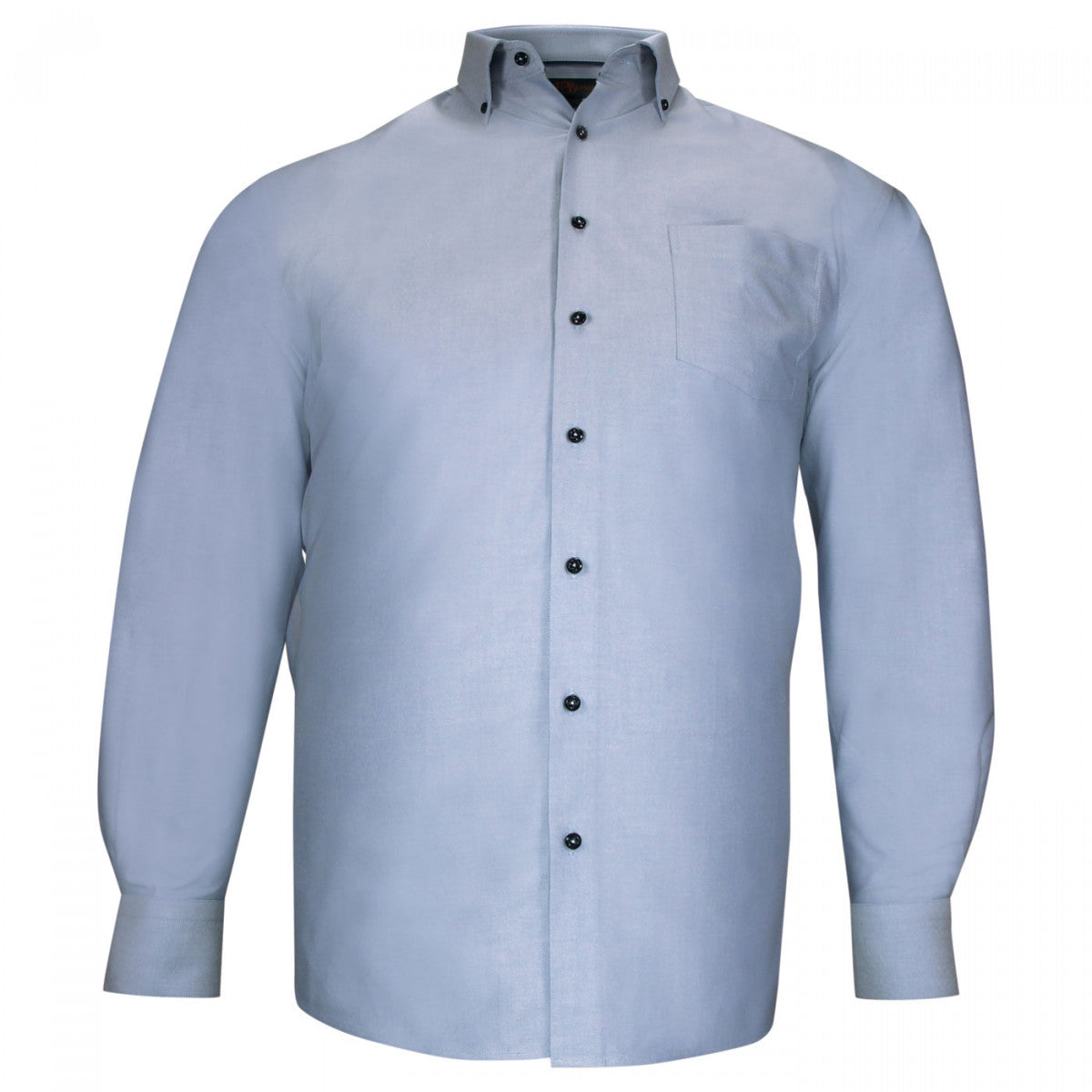 Chemise forte taille oxford à col boutonné BOTONNI AE12DB1 bleu